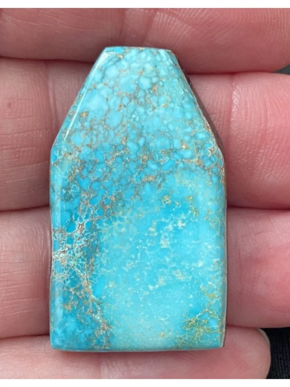 Carico lake turquoise cabochon 41.7 Carats Backed (Bin100)